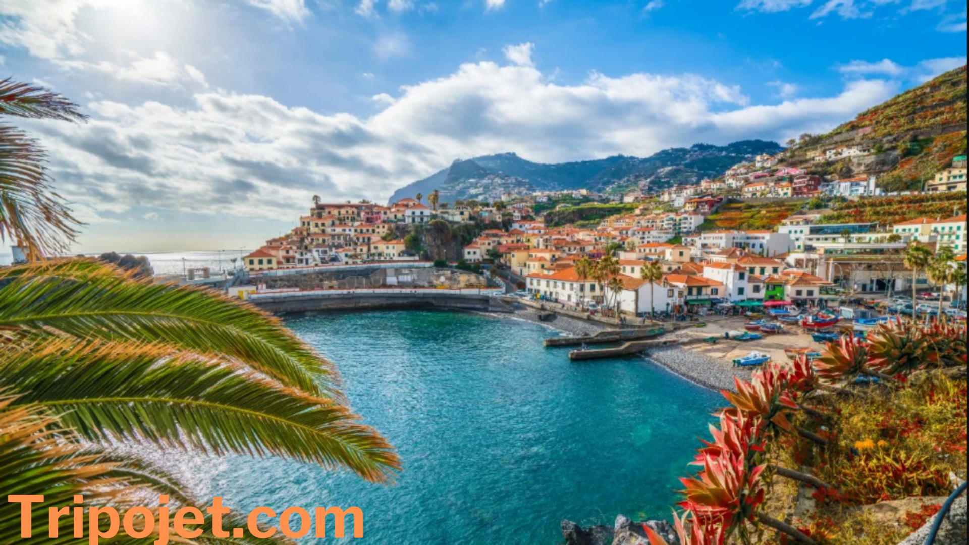 How to get to Madeira Portugal- Visit Madeira