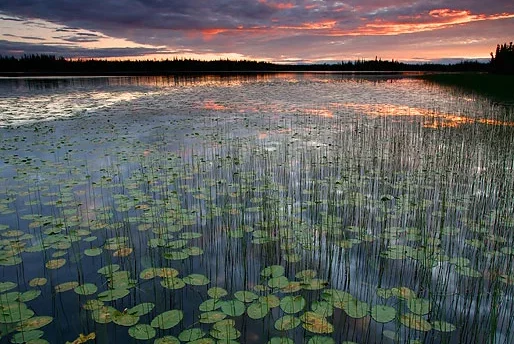 Tetlin National Wildlife Refuge