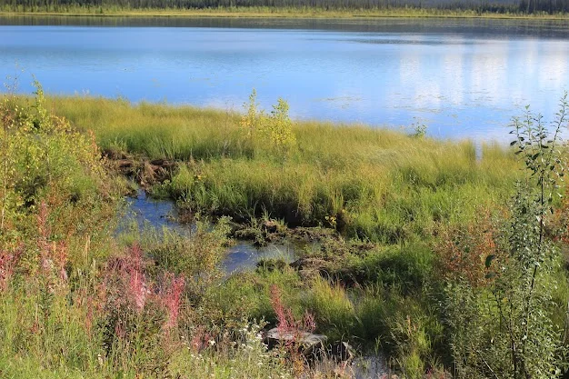 Tetlin National Wildlife Refuge