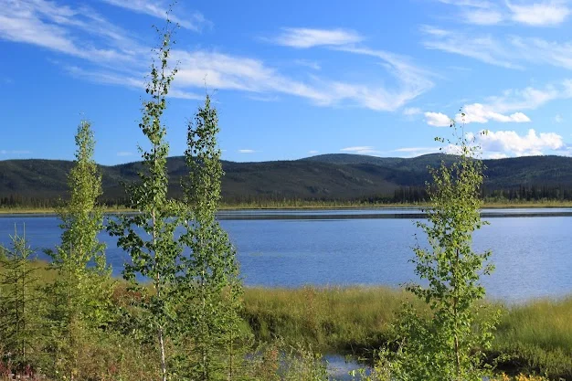 Tetlin National Wildlife Refuge