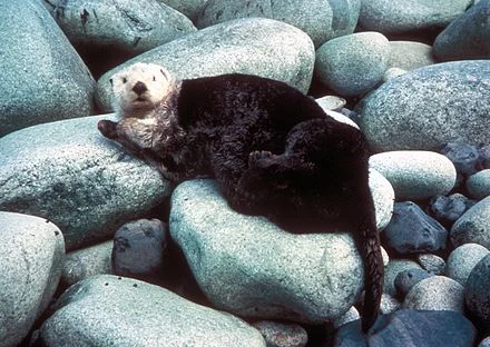 Yukon Delta National Wildlife Refuge