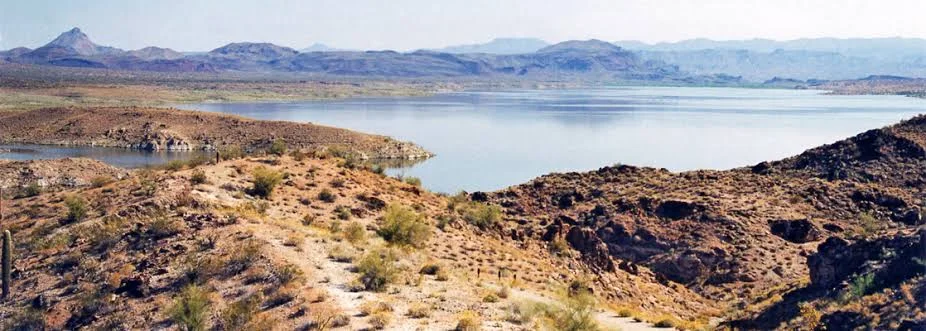 Alamo-Lake-State-Park