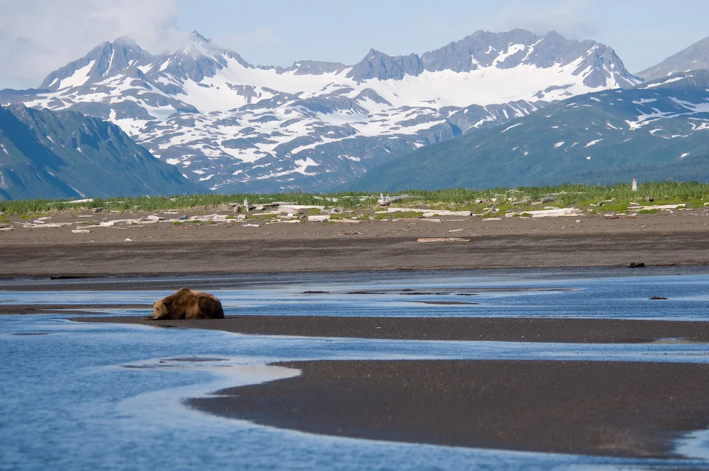 Katmai National Park and Preserve