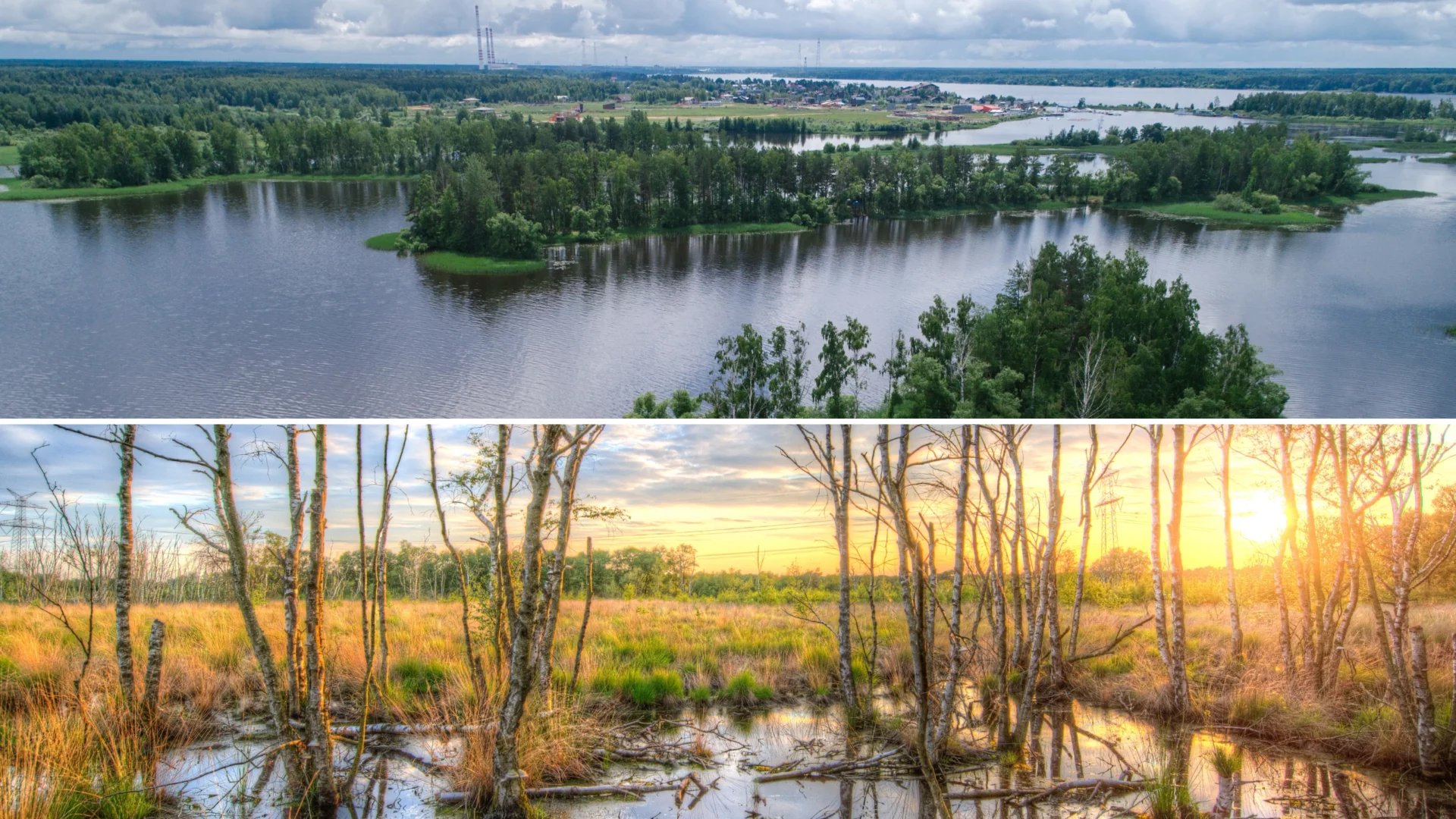 Cache River National Wildlife Refuge