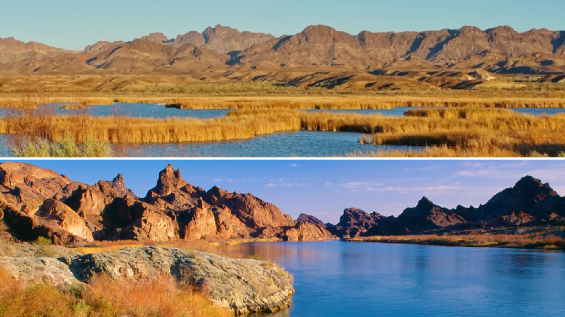 Cibola National Wildlife Refuge