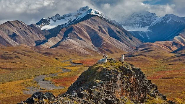 Denali National Park and Preserve