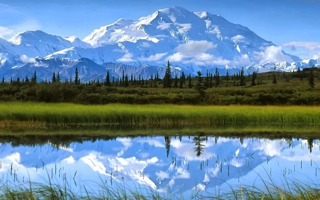 Denali National Park and Preserve