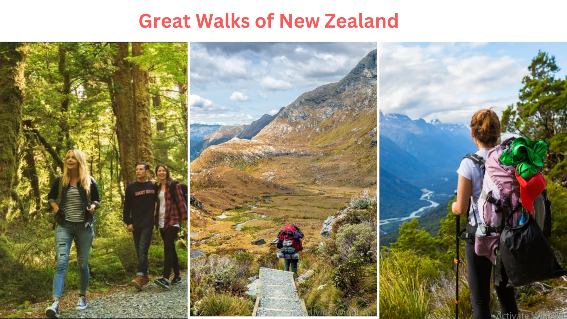 10 Solo Travel Destination the Great Walks of New Zealand (August) Updated 2023