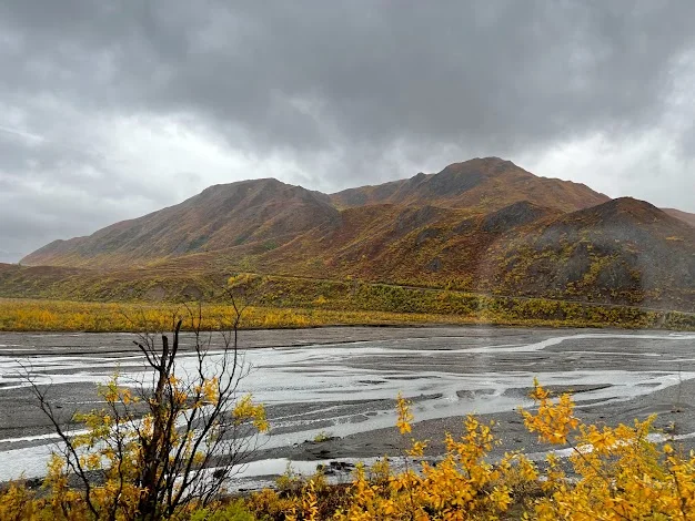 Denali National Park and Preserve