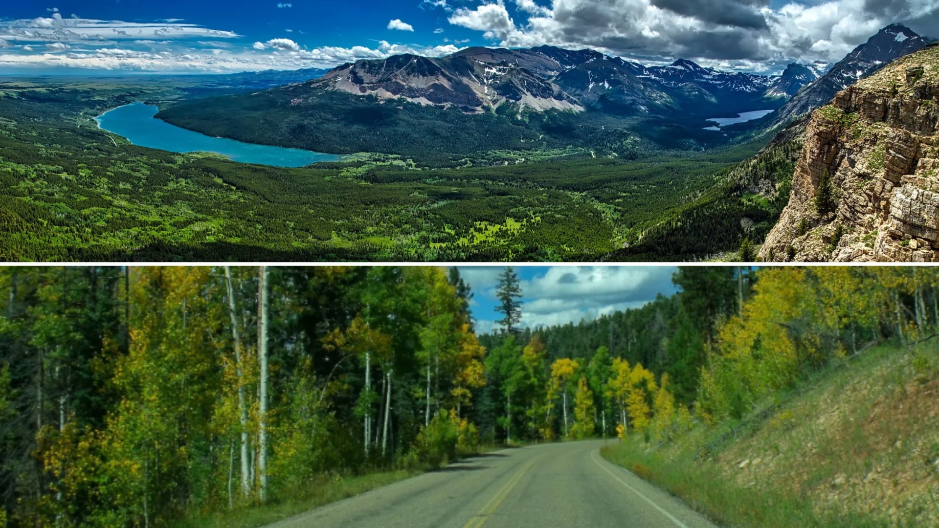 Kaibab National Forest