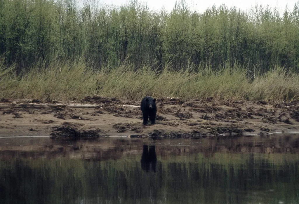 Nowitna National Wildlife Refuge