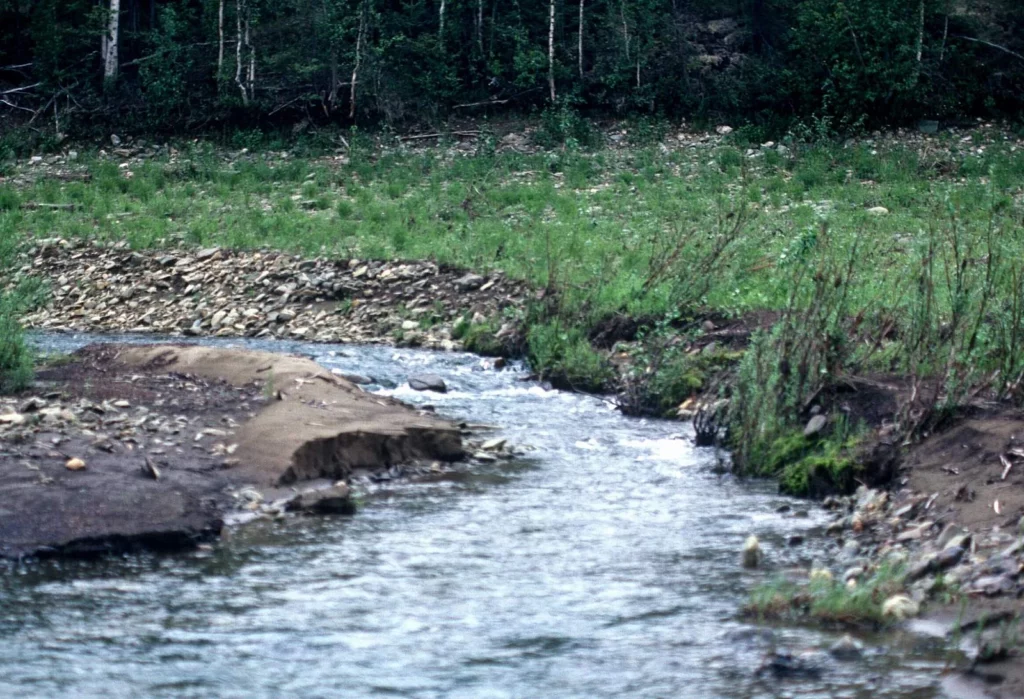 Nowitna National Wildlife Refuge