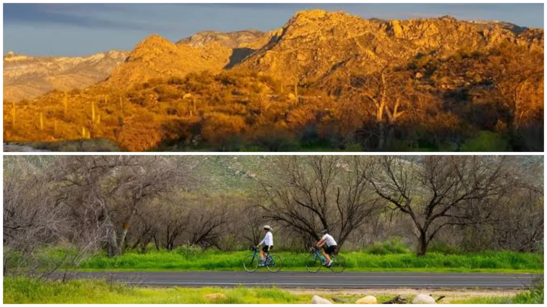 Catalina State Park