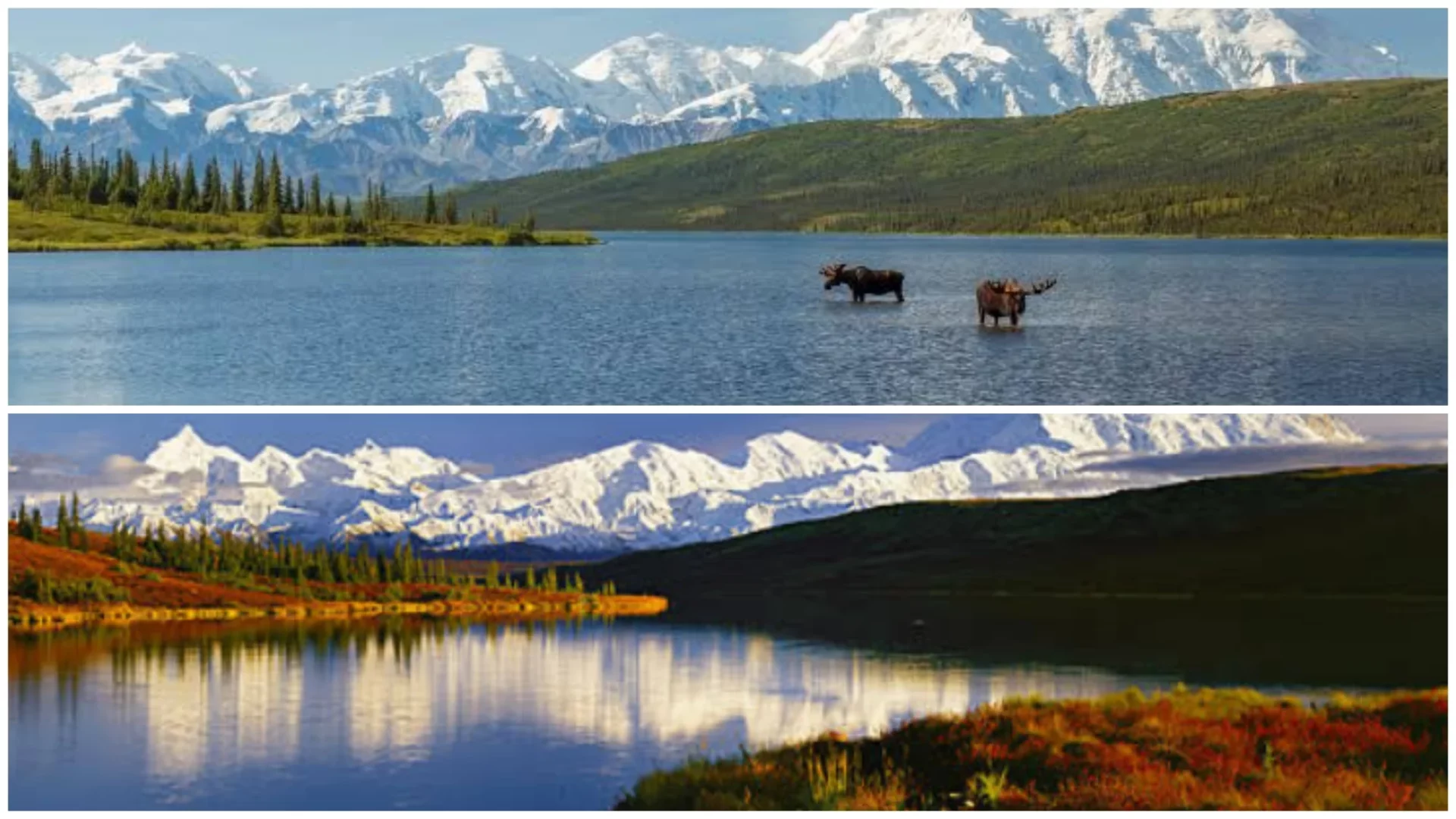 Denali State Park