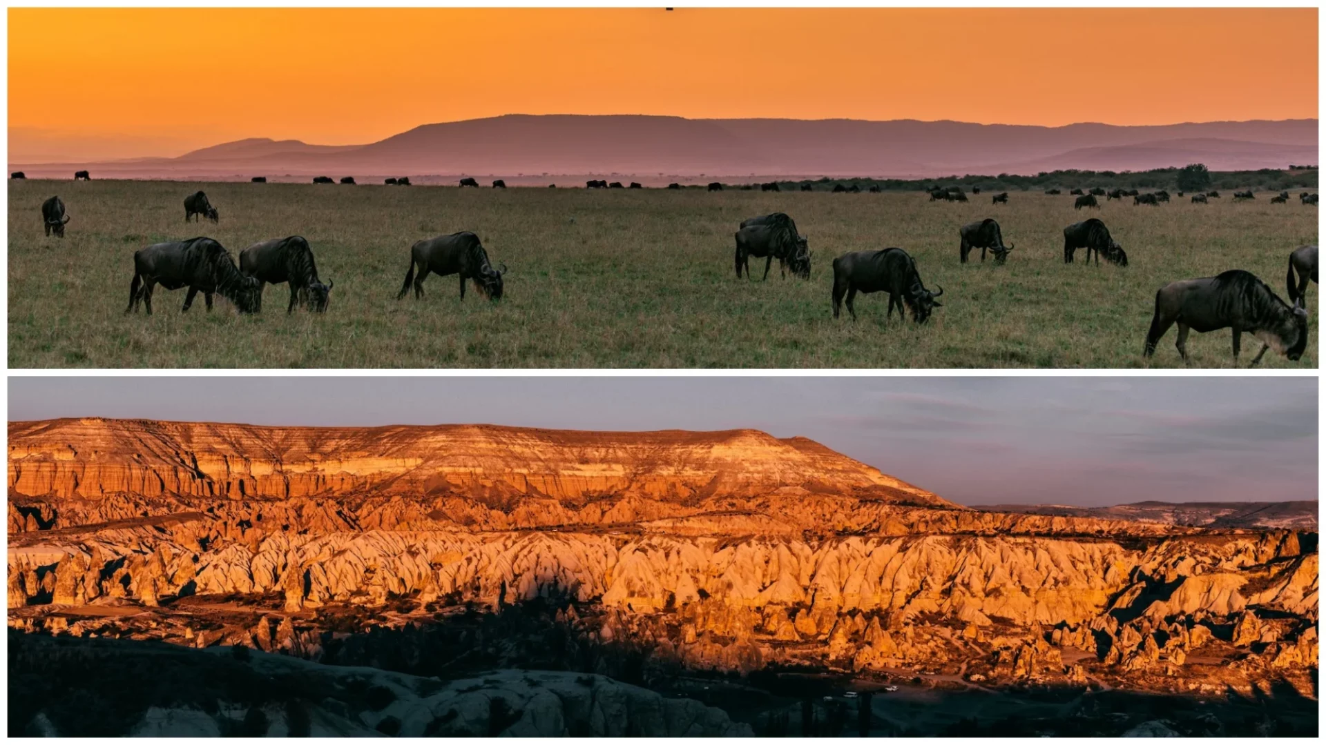 Chamisso National Wildlife Refuge