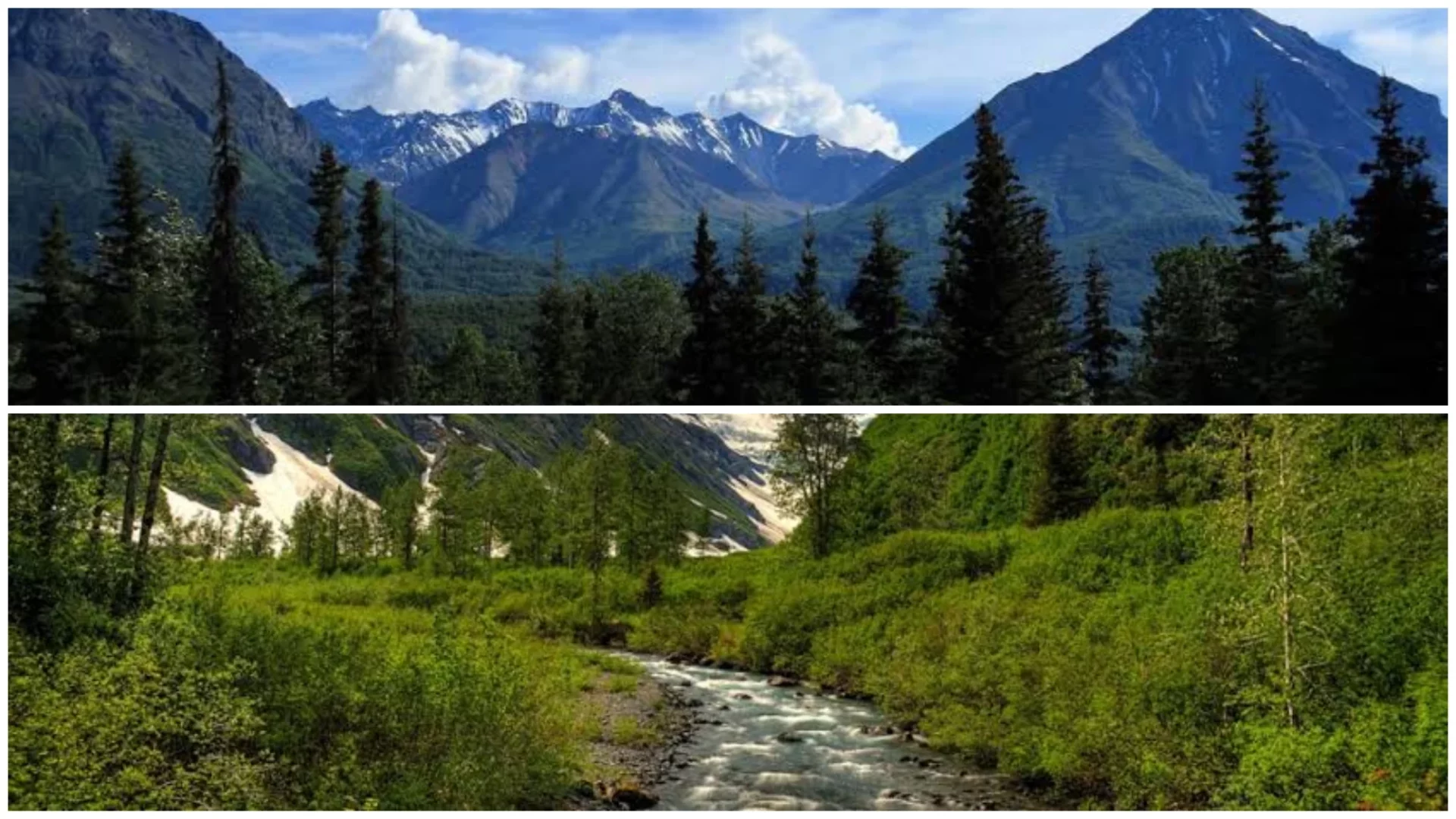 Chugach National Forest