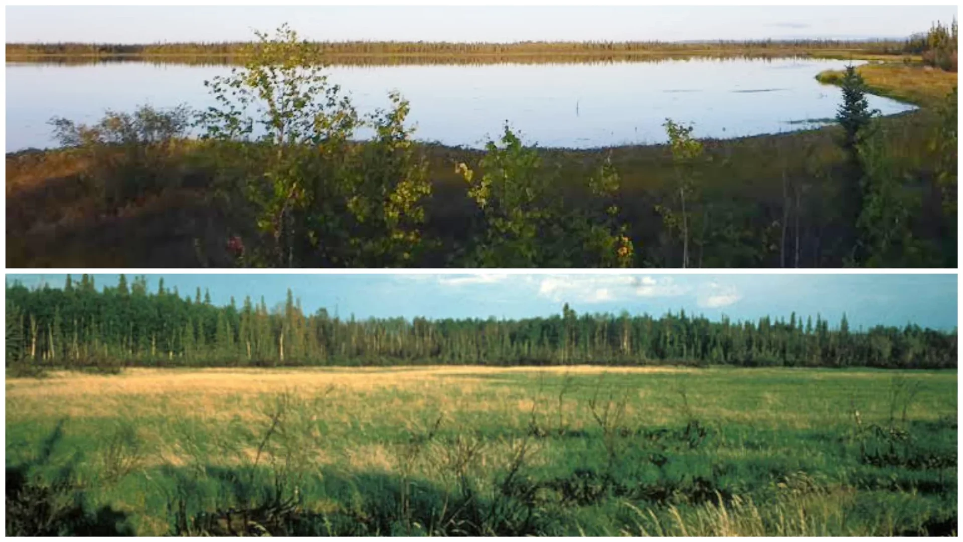 Koyukuk National Wildlife Refuge