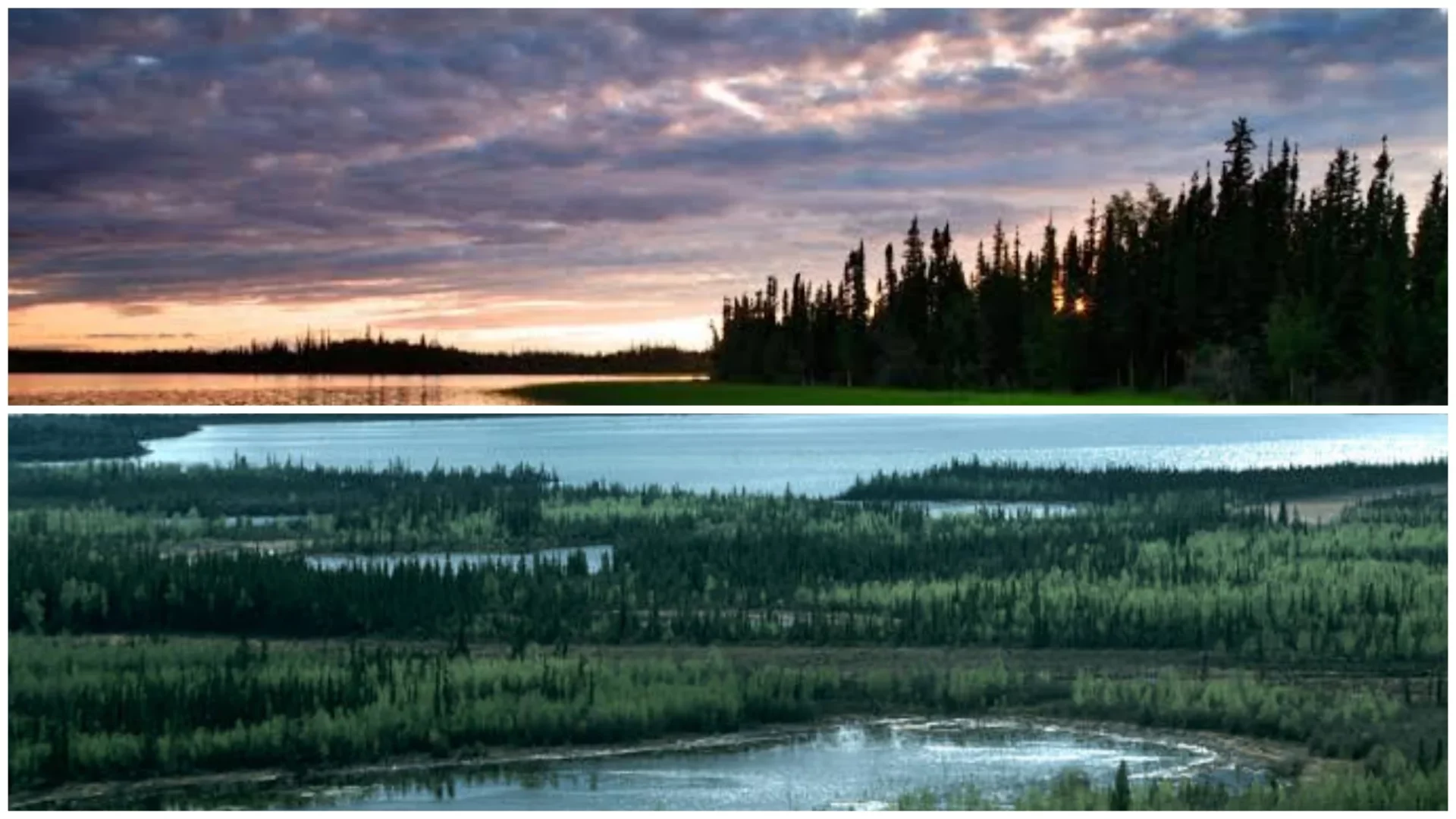 Tetlin National Wildlife Refuge