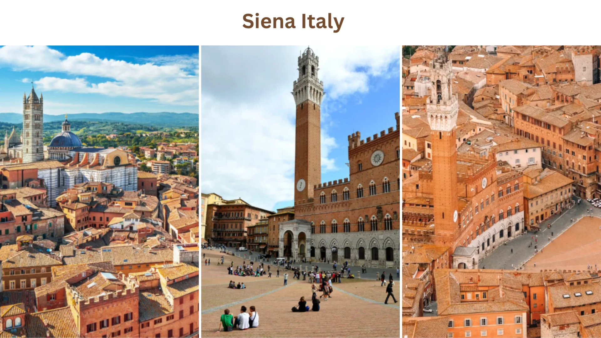Solo Travel Destination: Siena, Italy