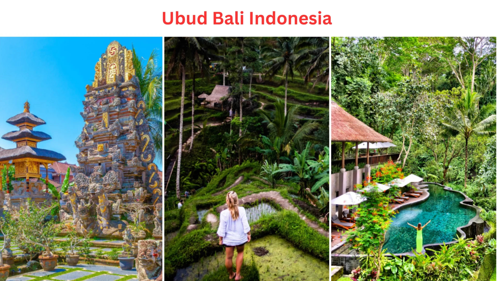 Solo Travel Destination: Ubud Bali, Indonesia