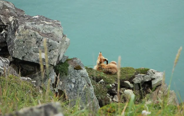 Togiak National Wildlife Refuge