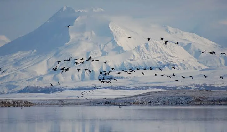 Izembek National Wildlife Refuge