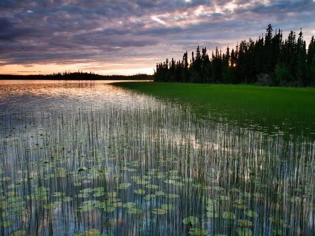 Tetlin National Wildlife Refuge