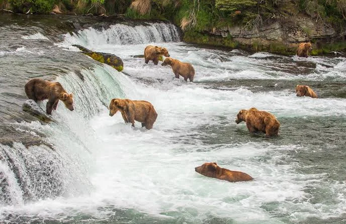 Katmai National Park and Preserve