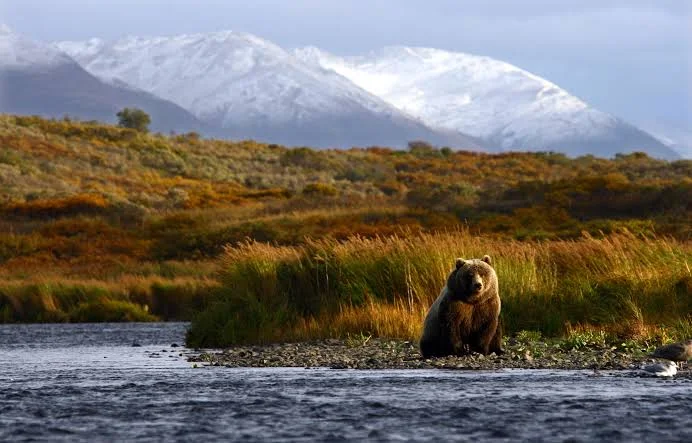 Kodiak National Wildlife Refuge