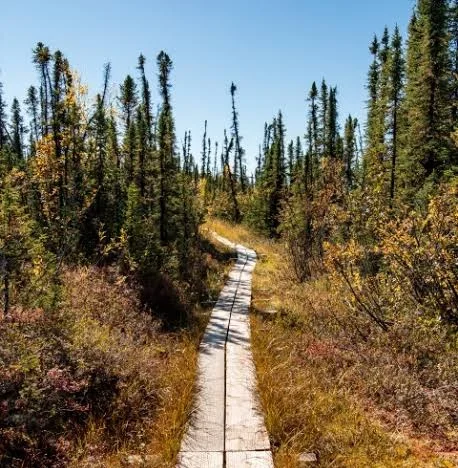 Tetlin National Wildlife Refuge