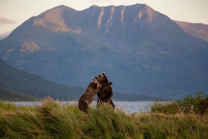 Kodiak National Wildlife Refuge