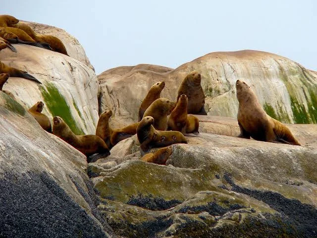 Semidi-National-Wildlife-Refuge