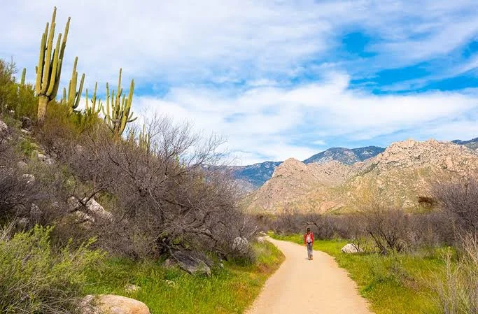 Catalina State Park