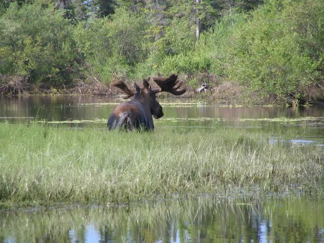 Koyukuk National Wildlife Refuge