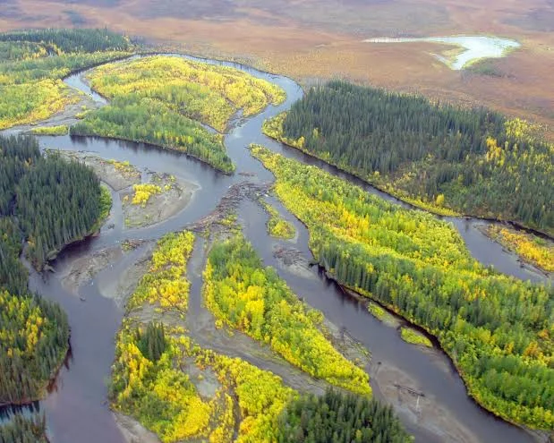 Yukon Flats National Wildlife Refuge