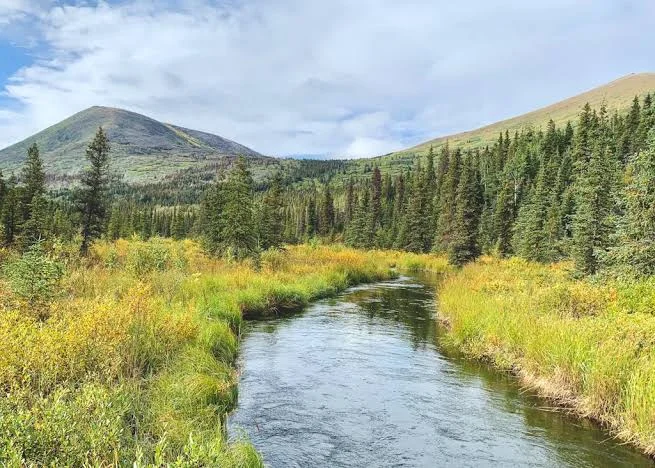 Resurrection Pass National Recreation Trail