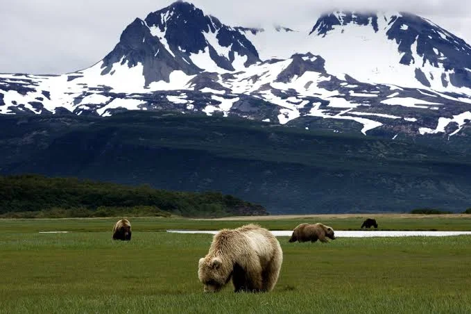 Katmai National Park and Preserve