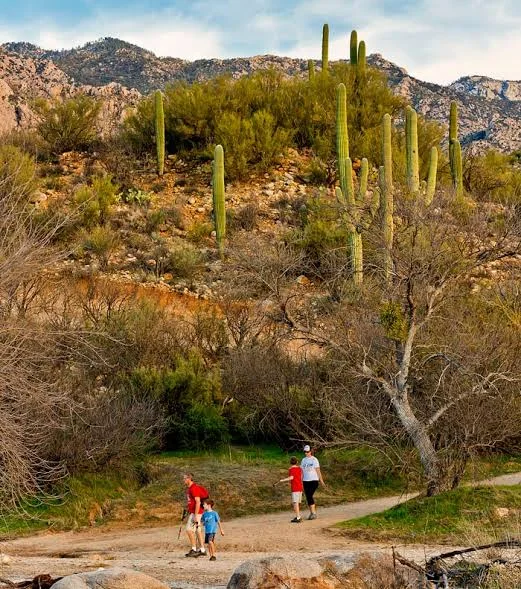 Catalina State Park