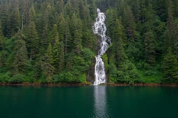 Tongass National Forest