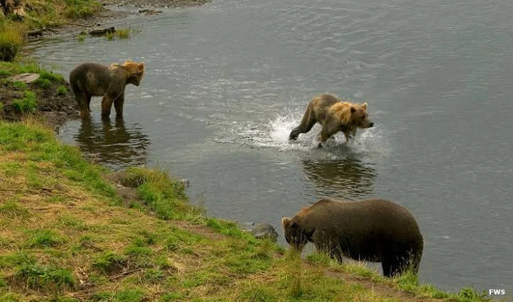 Kodiak National Wildlife Refuge