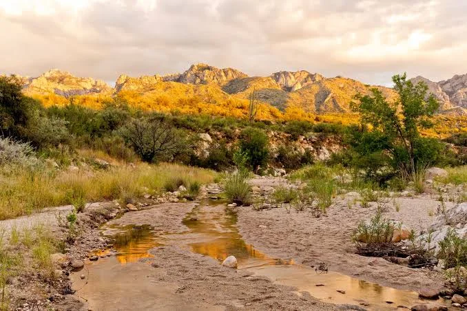 Catalina State Park