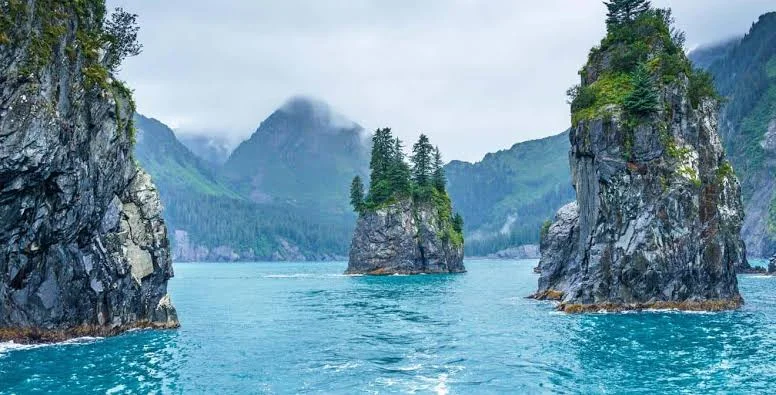 Kenai Fjords National Park