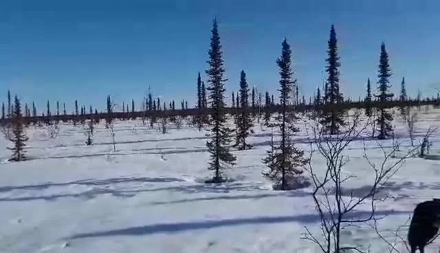 Koyukuk National Wildlife Refuge