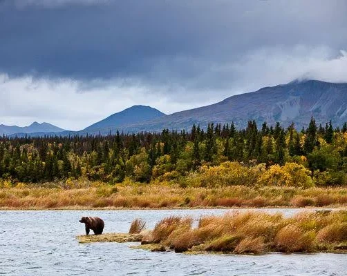 Katmai National Park and Preserve