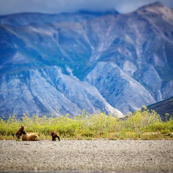 Koyukuk National Wildlife Refuge