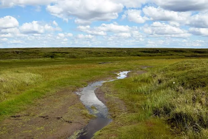 Yukon Delta National Wildlife Refuge