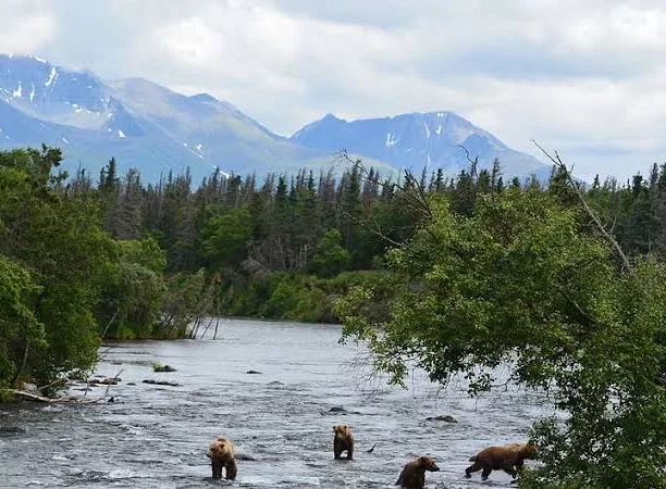 Katmai National Park and Preserve