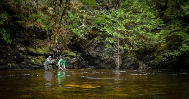 Tongass National Forest