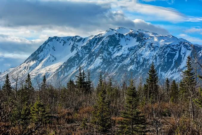 Kachemak Bay State Park