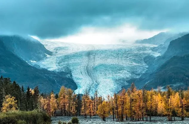 Kenai Fjords National Park